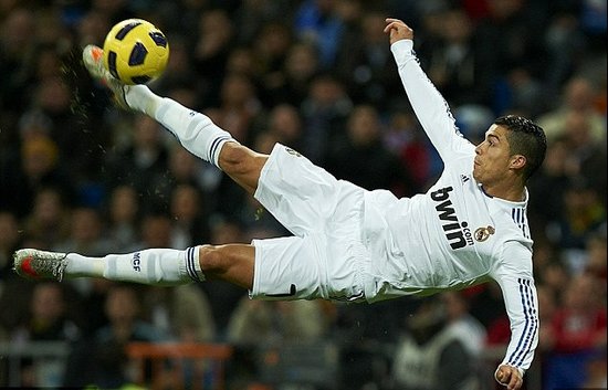 教练和引进 教练和引进