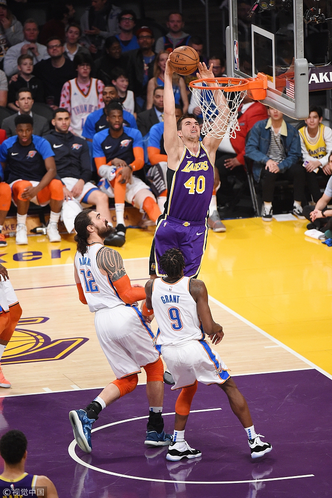 老鹰也没有 老鹰也没有